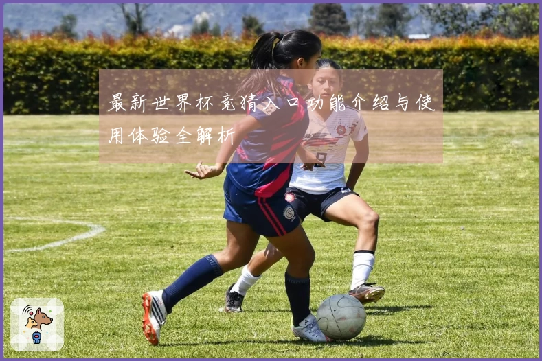 最新世界杯竞猜入口功能介绍与使用体验全解析