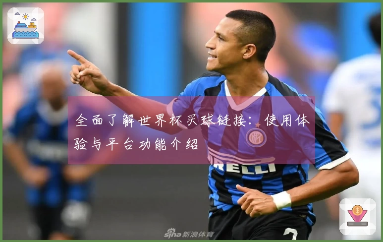 全面了解世界杯买球链接：使用体验与平台功能介绍