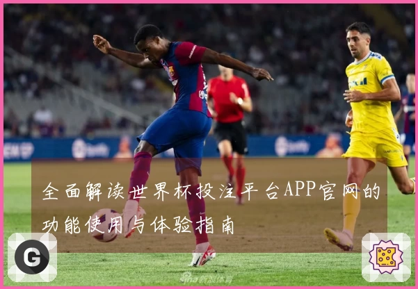 全面解读世界杯投注平台APP官网的功能使用与体验指南