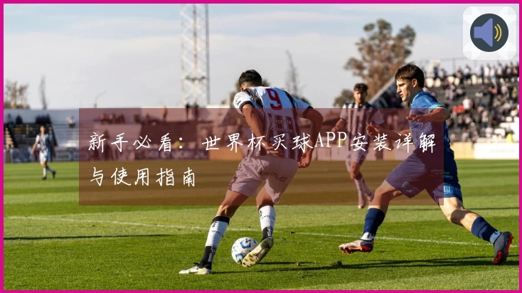 新手必看：世界杯买球APP安装详解与使用指南