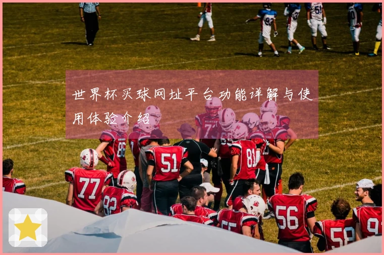 世界杯买球网址平台功能详解与使用体验介绍