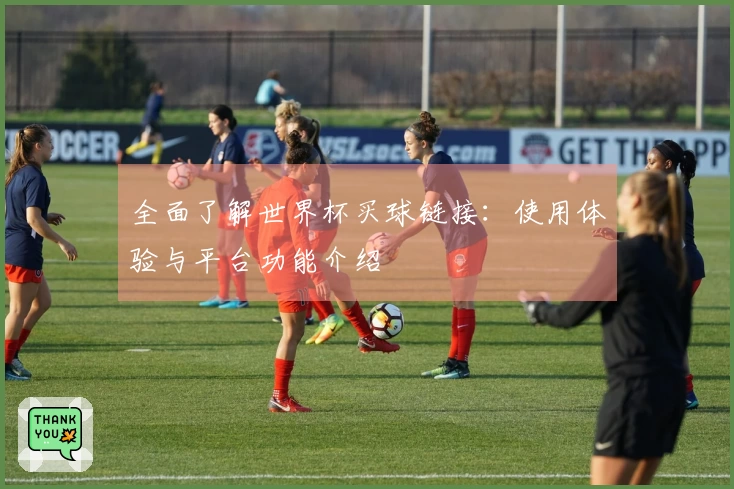 全面了解世界杯买球链接：使用体验与平台功能介绍